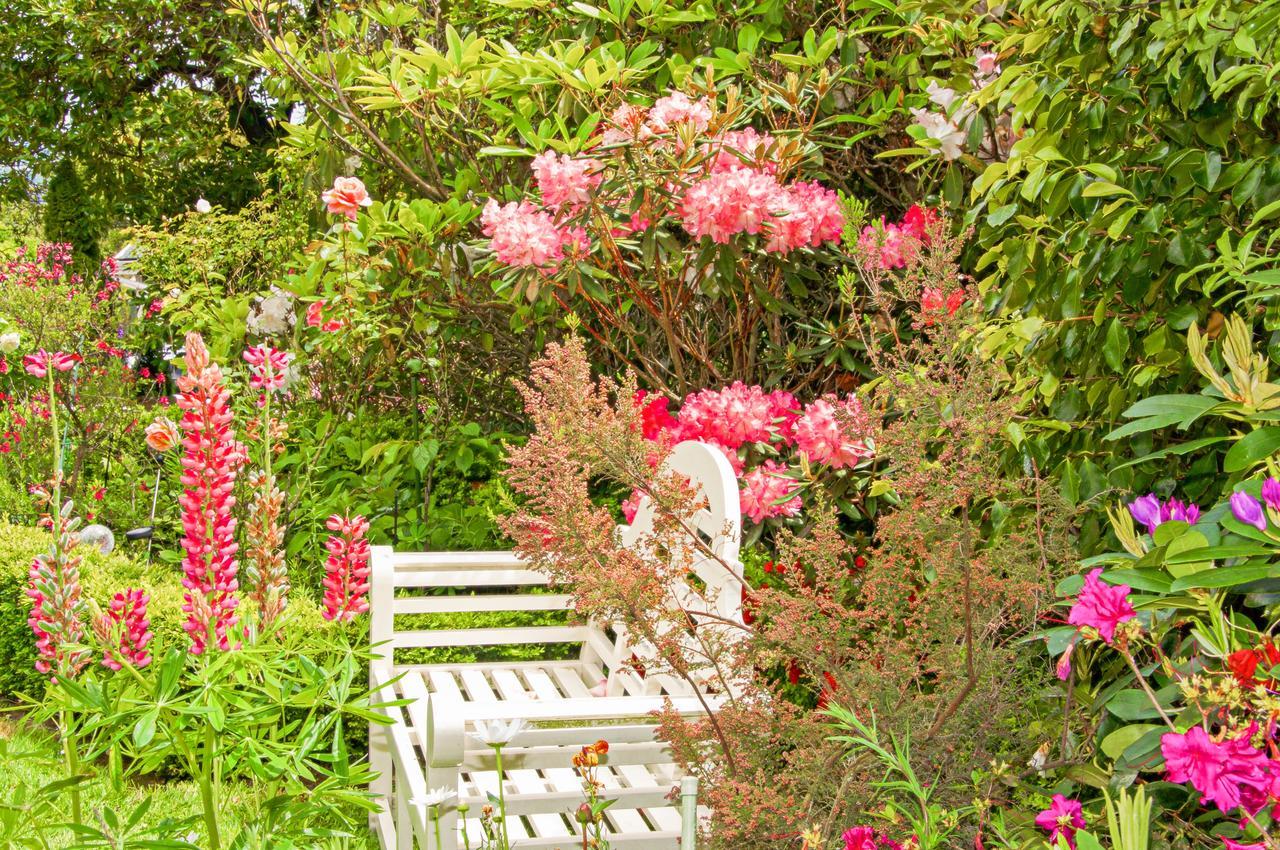 Dyers House Bed & Breakfast Christchurch Luaran gambar